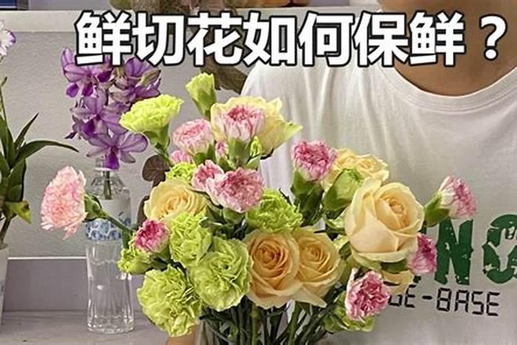 切花如何保鲜