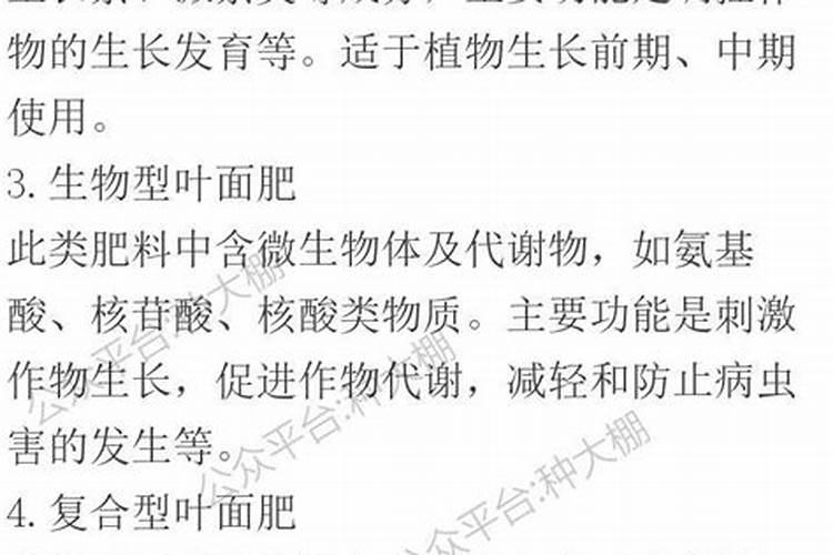 叶面肥科学施用指南：提升作物生长效率与产量的关键