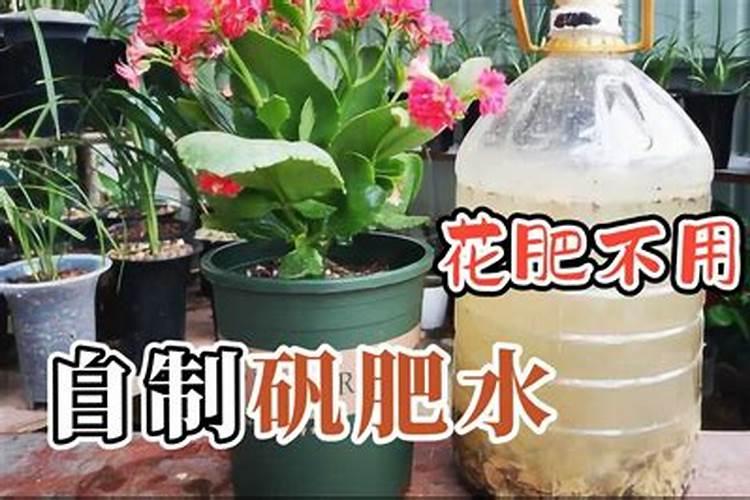 花肥制作方法和配料