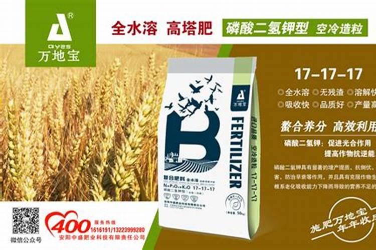 小麦怎样施用氨态氮肥料最好？