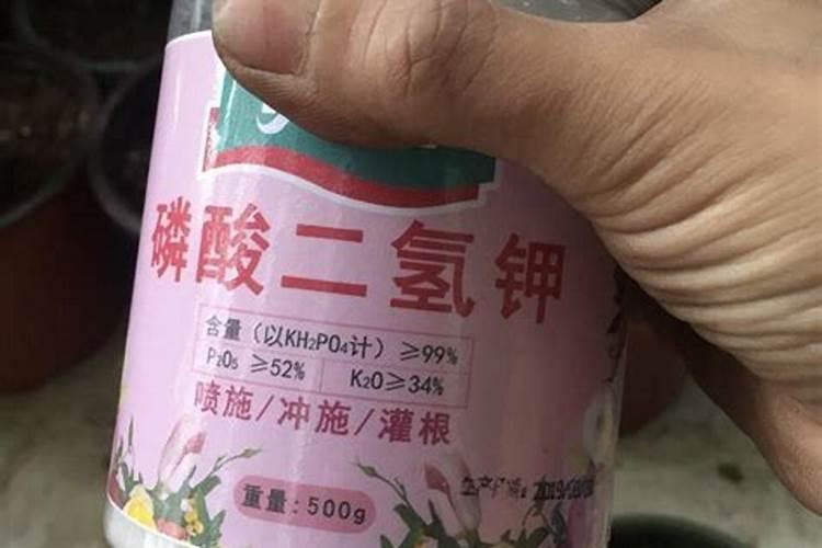 钾肥的正确使用方法