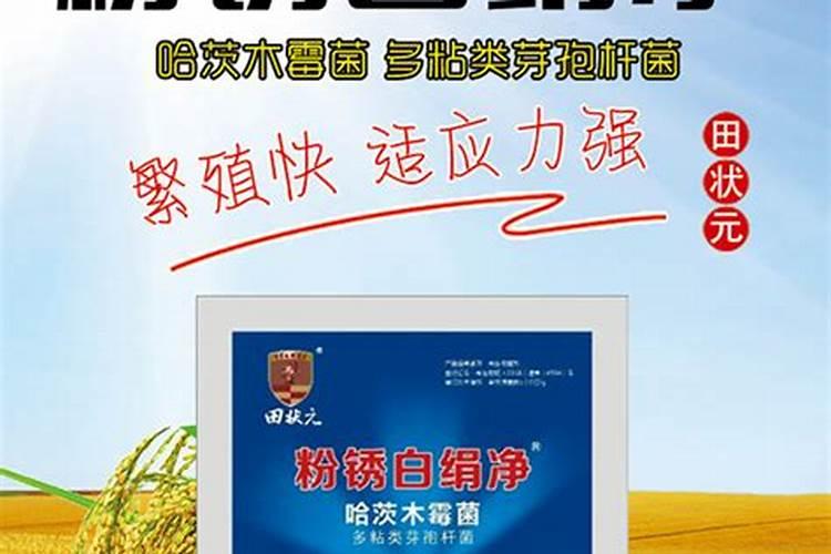 玉米杀虫剂防治虫害使用方法及注意要点？